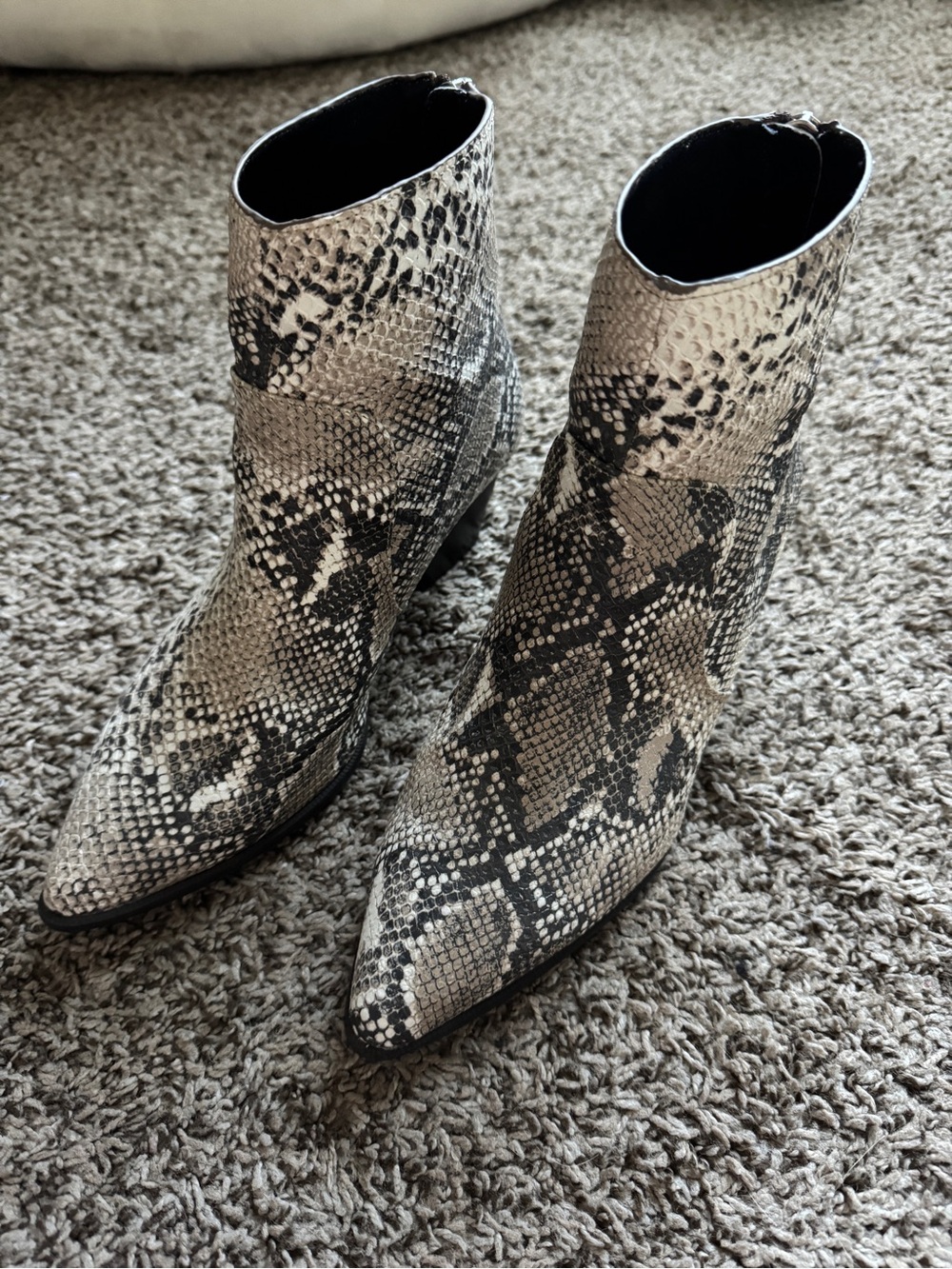 Qupid Snake-Print Pointed Ankle Boots - Black & Cream size 7.5